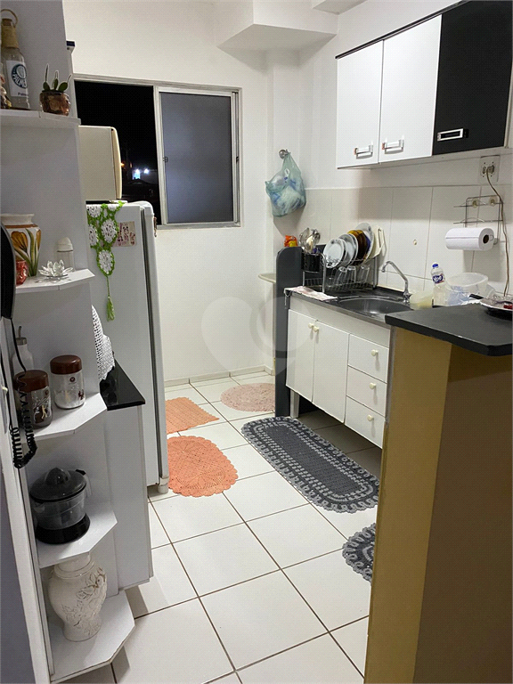 Venda Apartamento Piracicaba Piracicamirim REO978026 2