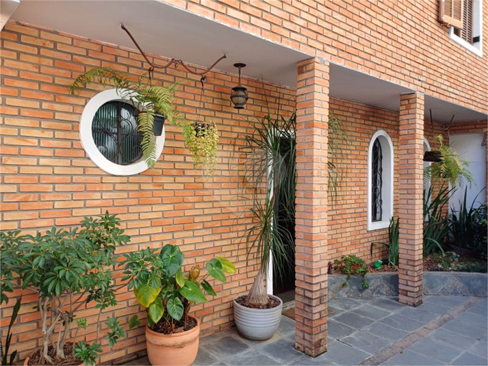 Foto REO978463