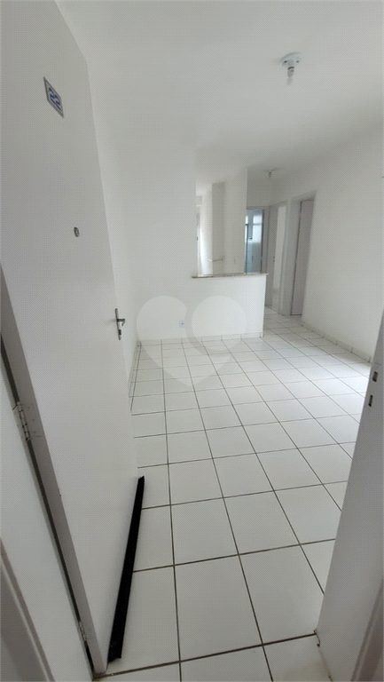 Venda Apartamento Campinas Parque Residencial Caiapó REO978947 20