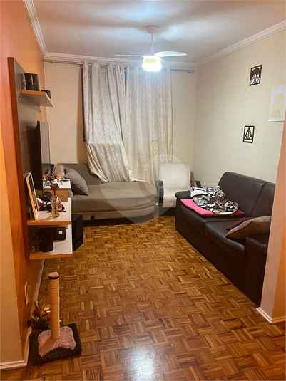 Venda Apartamento Campinas Jardim Anchieta REO978955 1