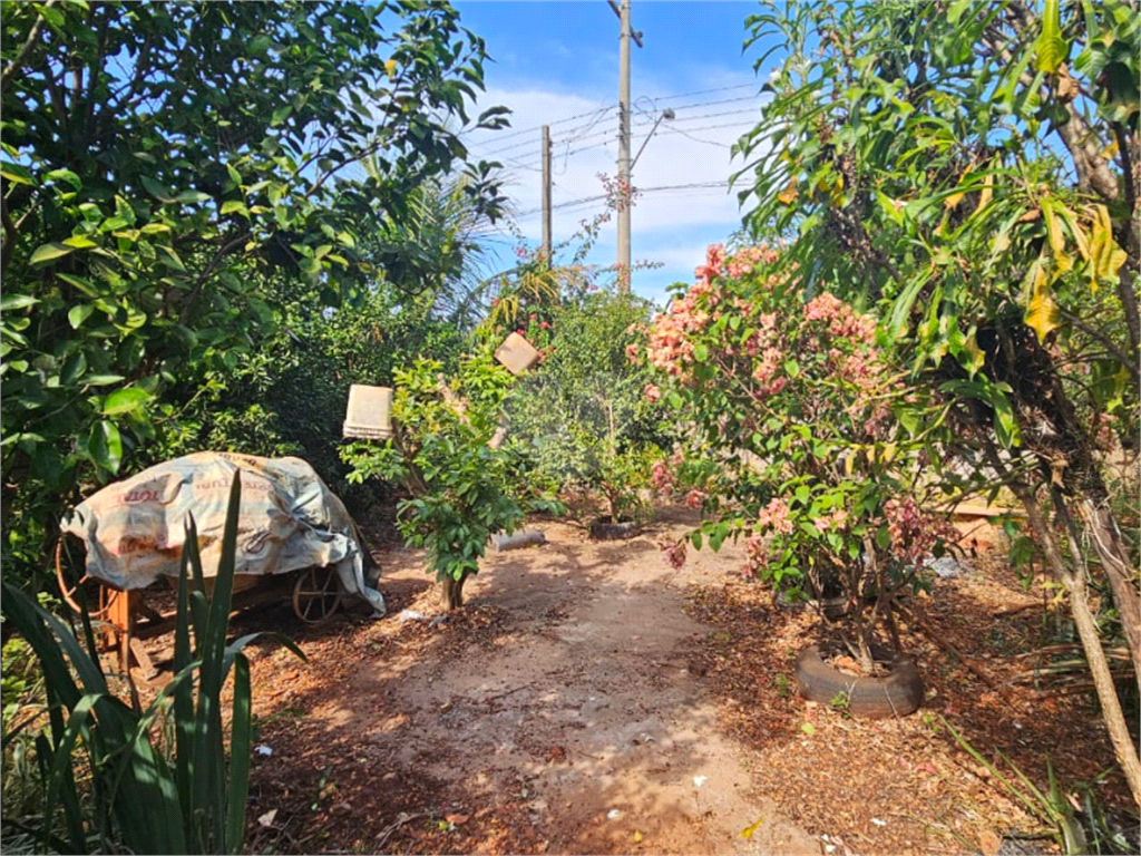 Venda Chácara Igaraçu Do Tietê Jardim Maria Helena REO979076 25