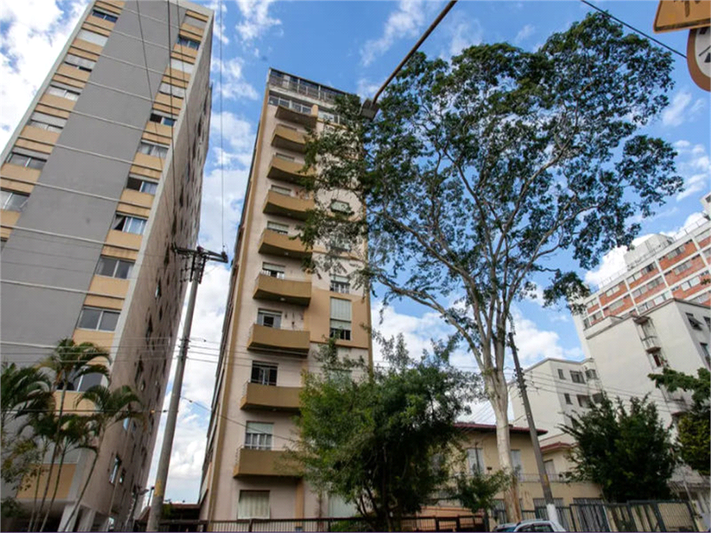 Venda Apartamento São Paulo Campos Elíseos REO979097 14