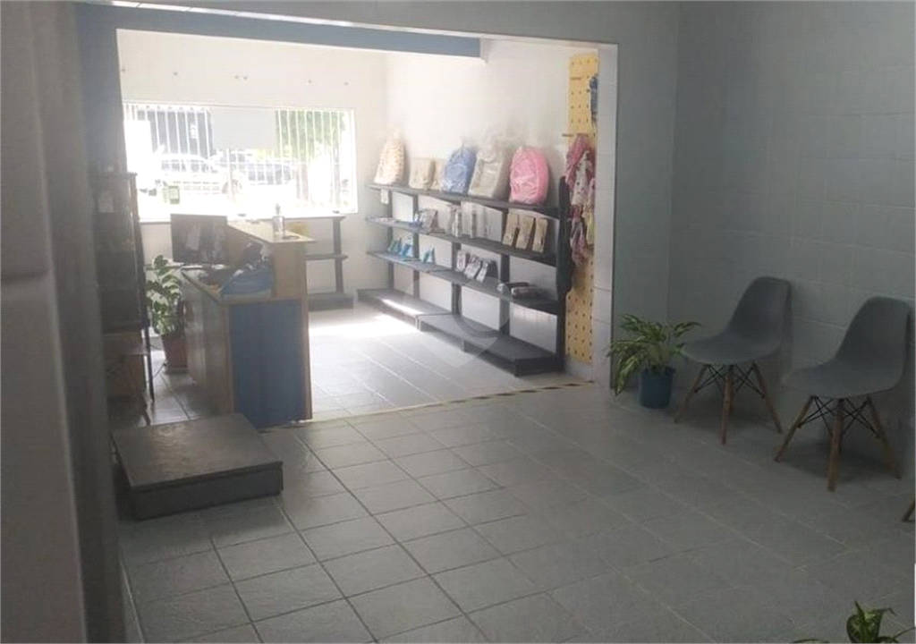 Aluguel Salão Comercial São Paulo Moinho Velho REO979216 2