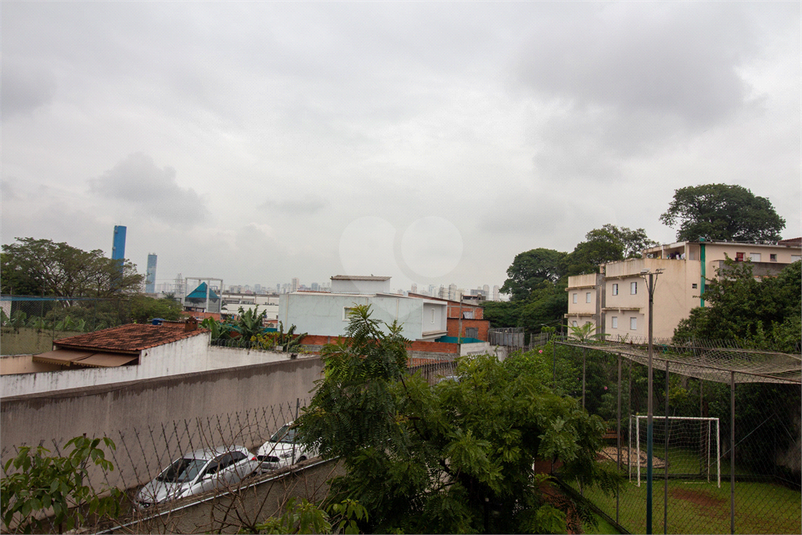 Foto REO981427