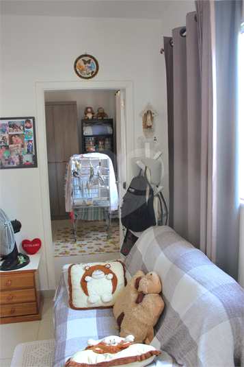 Foto REO981453