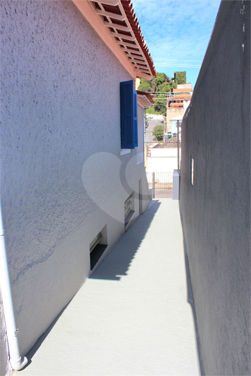 Foto REO981453