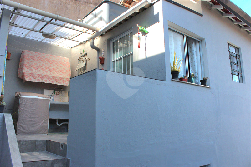 Foto REO981453