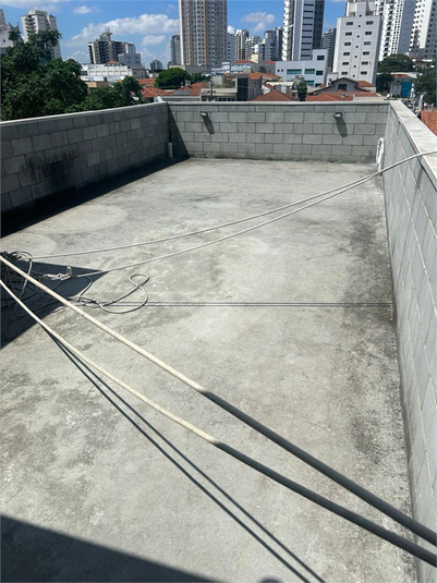 Foto REO982638