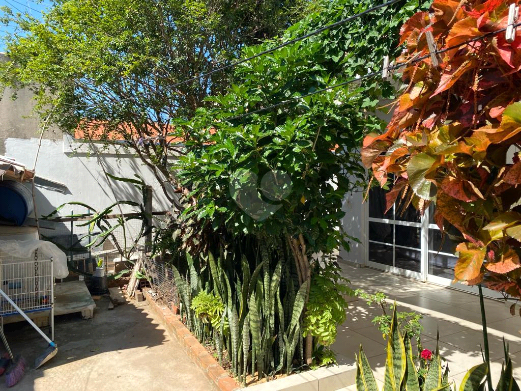 Venda Casa Campinas Jardim Marisa REO983957 4