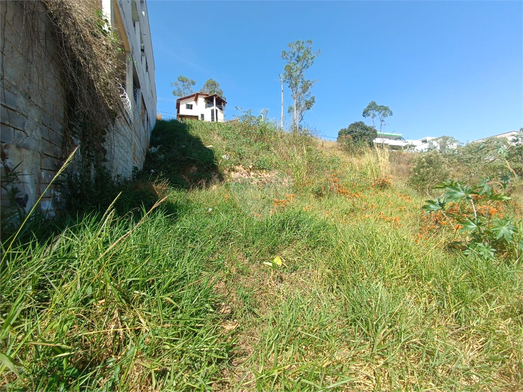 Venda Terreno Barbacena Chácaras Das Andorinhas REO984422 11