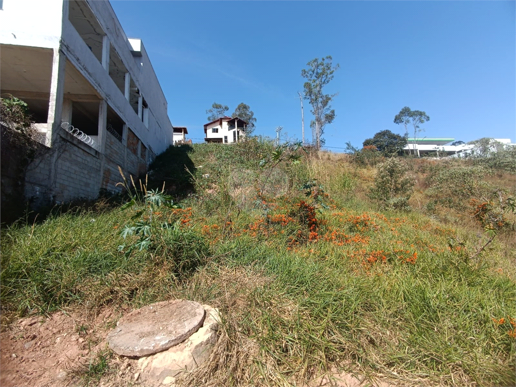 Venda Terreno Barbacena Chácaras Das Andorinhas REO984422 14