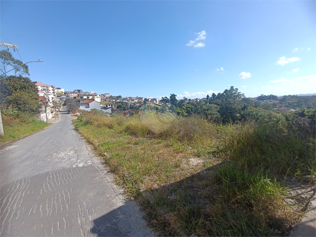 Venda Terreno Barbacena Chácaras Das Andorinhas REO984422 4