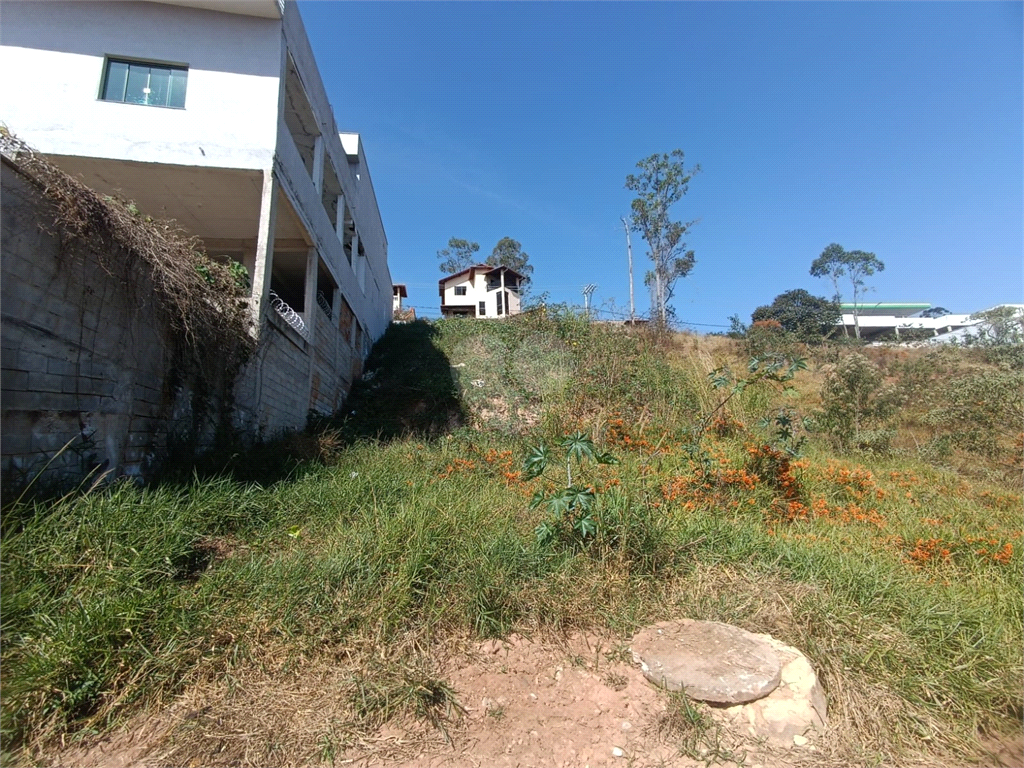 Venda Terreno Barbacena Chácaras Das Andorinhas REO984422 16