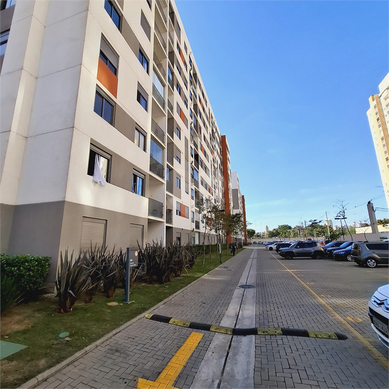 Venda Apartamento São Paulo Usina Piratininga REO984440 40