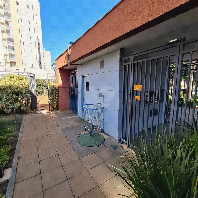 Venda Apartamento São Paulo Usina Piratininga REO984440 44