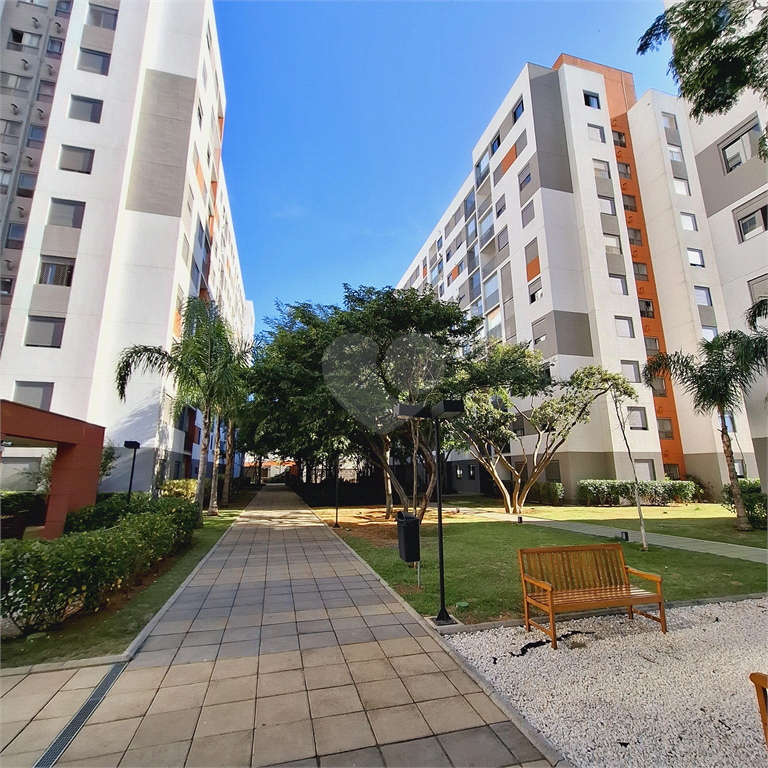 Venda Apartamento São Paulo Usina Piratininga REO984440 25