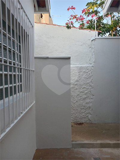 Foto REO985174