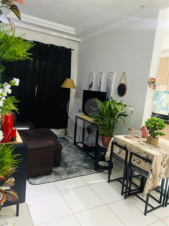 Venda Apartamento Sorocaba Jardim Betânia REO985461 14