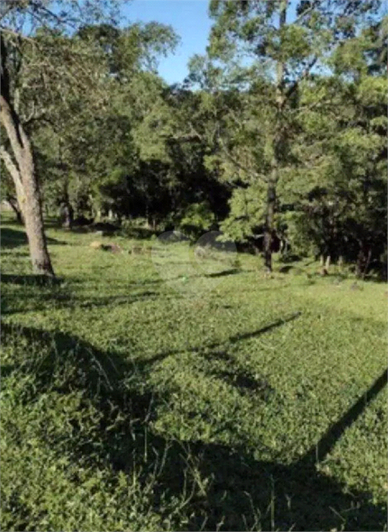 Venda Área de Terra São Roque Alto Da Serra (mailasqui) REO985600 1