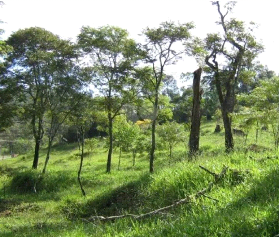 Venda Área de Terra São Roque Alto Da Serra (mailasqui) REO985600 2