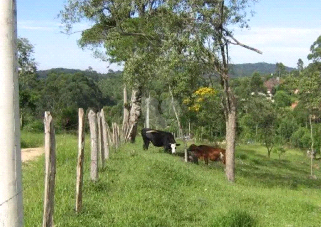 Venda Área de Terra São Roque Alto Da Serra (mailasqui) REO985600 3