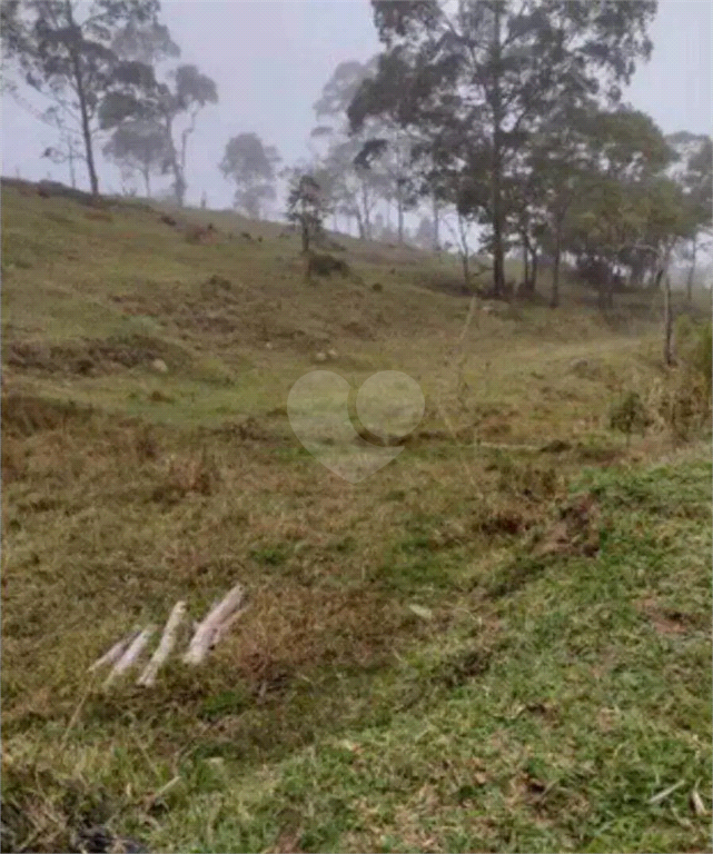 Venda Área de Terra São Roque Alto Da Serra (mailasqui) REO985600 4