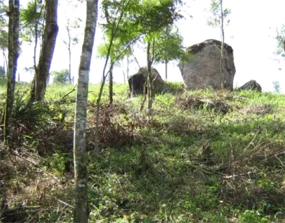 Venda Área de Terra São Roque Alto Da Serra (mailasqui) REO985600 5