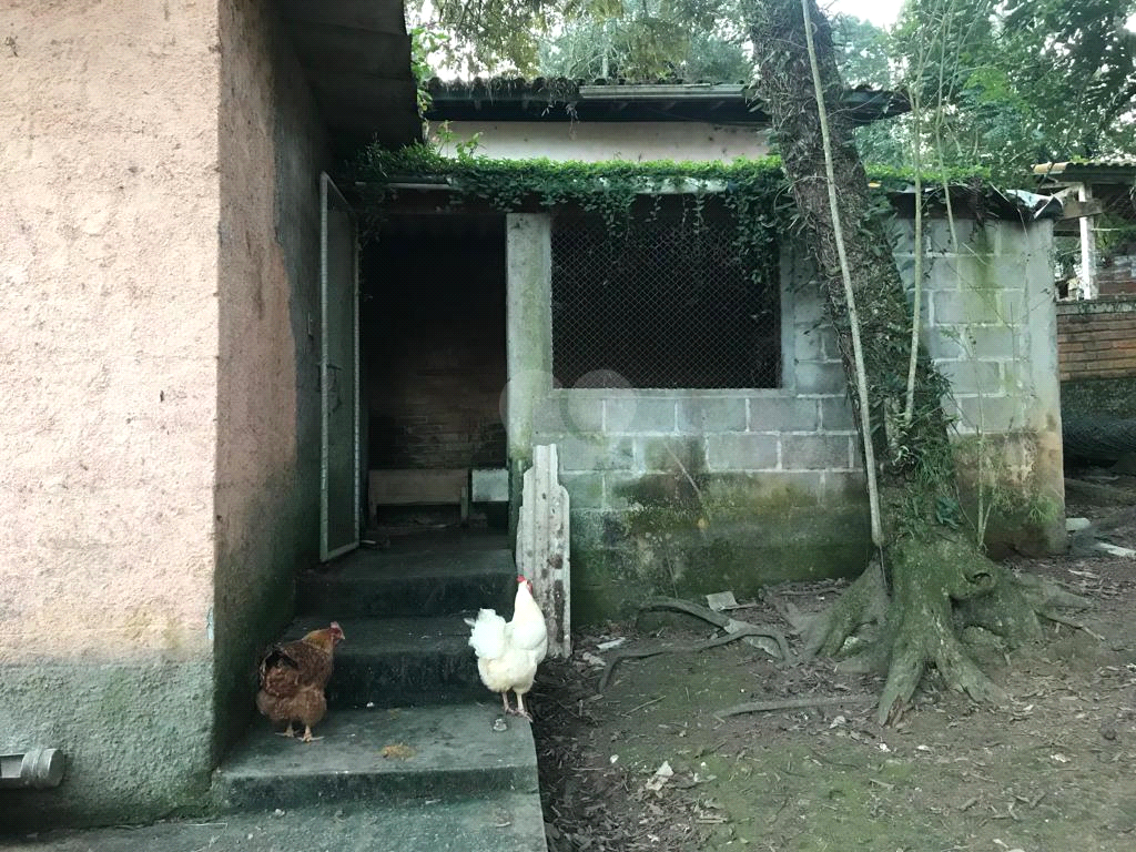 Venda Chácara São Roque Recanto Flora (mailasqui) REO985700 44