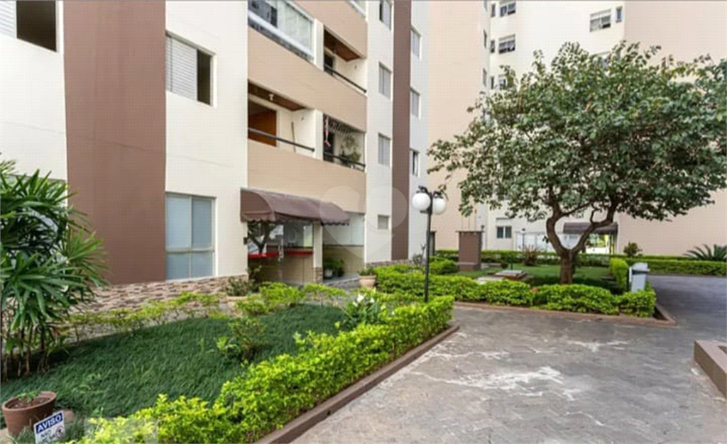 Venda Apartamento São Paulo Vila Nova Cachoeirinha REO985863 1