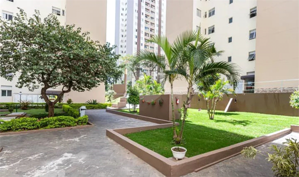 Venda Apartamento São Paulo Vila Nova Cachoeirinha REO985863 2