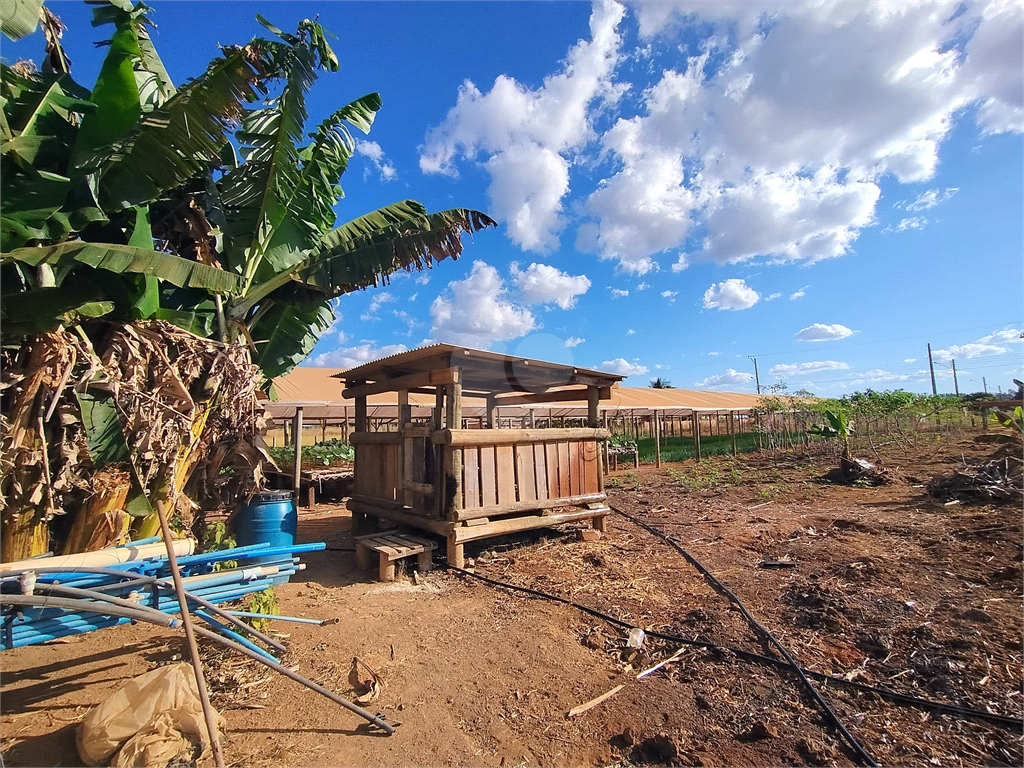 Venda Chácara Vilhena Área Rural De Vilhena REO985895 9