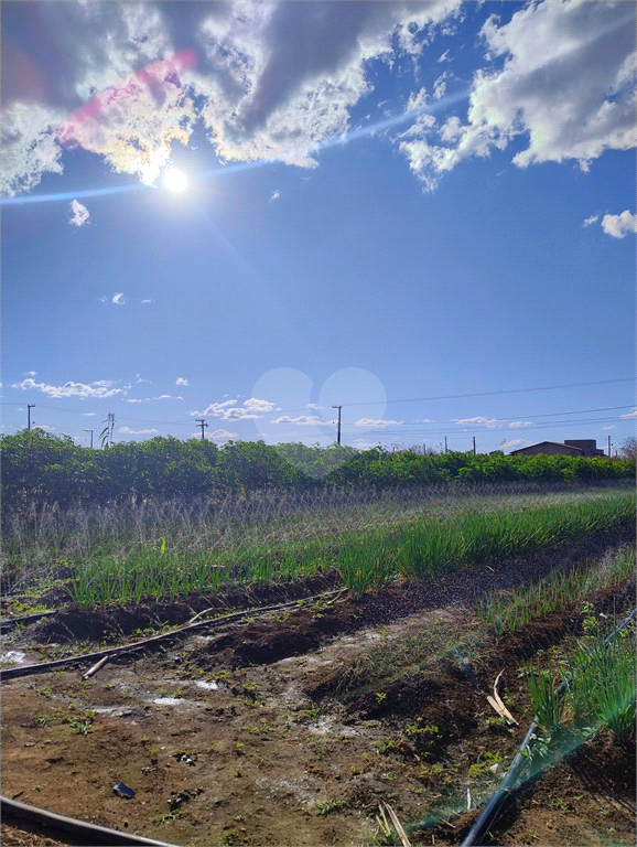 Venda Chácara Vilhena Área Rural De Vilhena REO985895 12