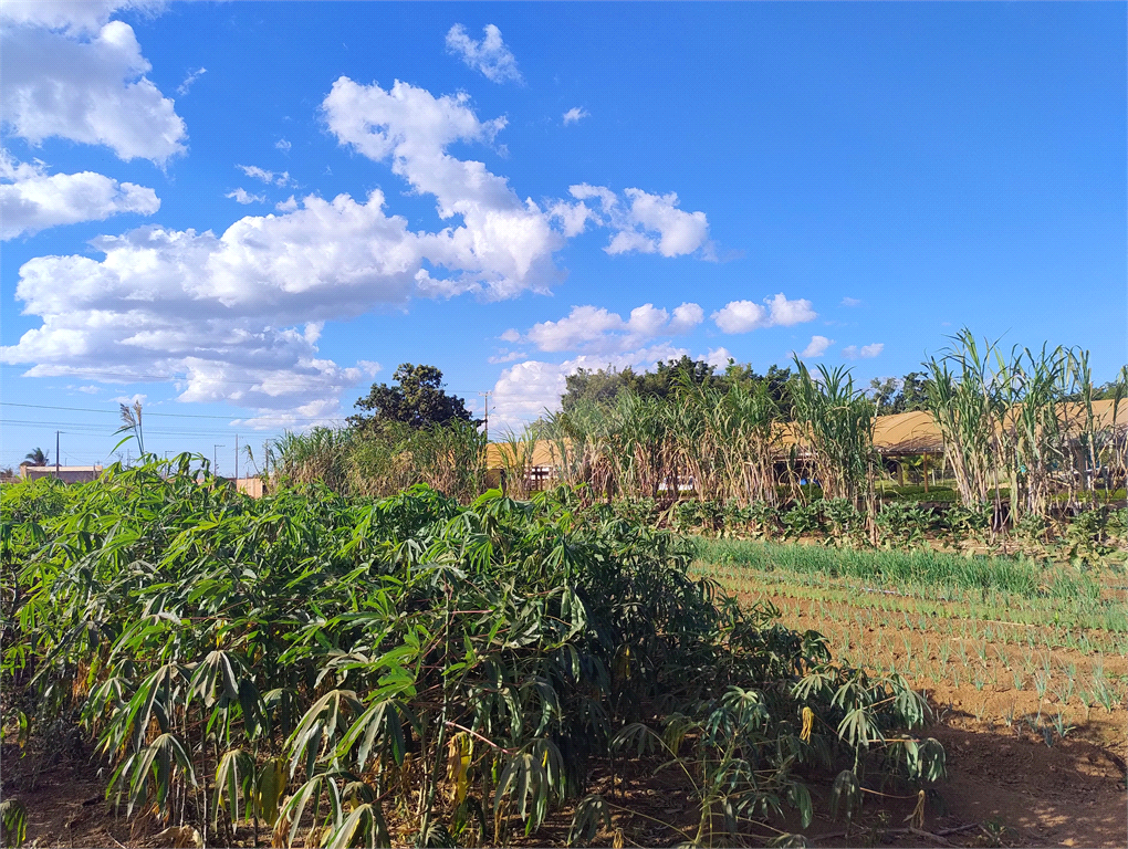 Venda Chácara Vilhena Área Rural De Vilhena REO985895 10