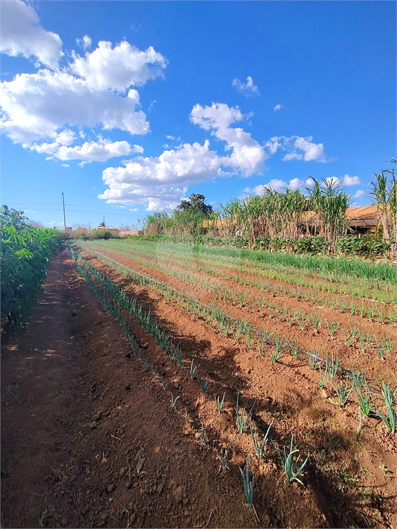 Venda Chácara Vilhena Área Rural De Vilhena REO985895 3