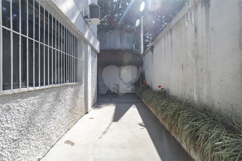 Foto REO986640