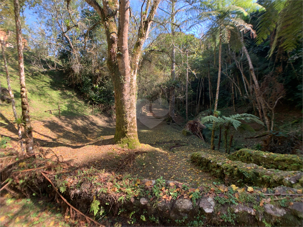 Venda Sítio São Lourenço Da Serra Centro REO986703 76