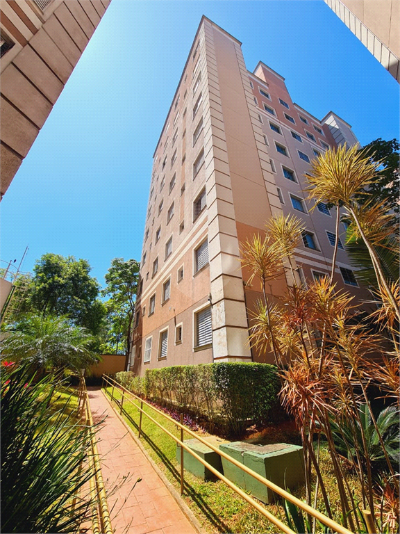 Venda Apartamento São Paulo Jardim Lallo REO986714 15