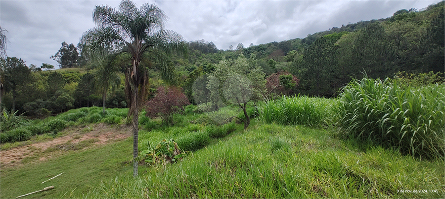 Venda Terreno Atibaia Estância Santa Maria Do Laranjal REO987512 50