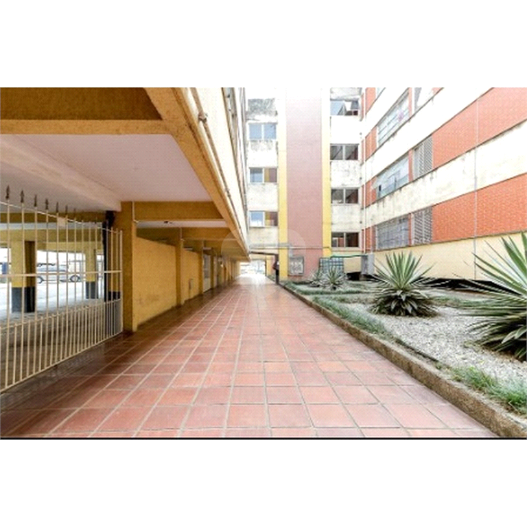 Venda Apartamento São Paulo Guapira REO987544 1