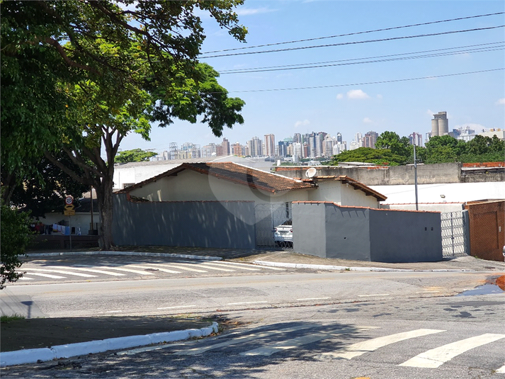Foto REO988225