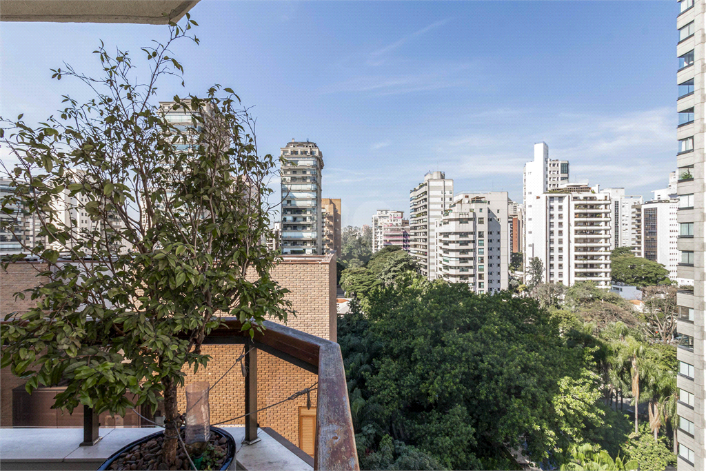 Venda Apartamento São Paulo Vila Nova Conceição REO988359 1