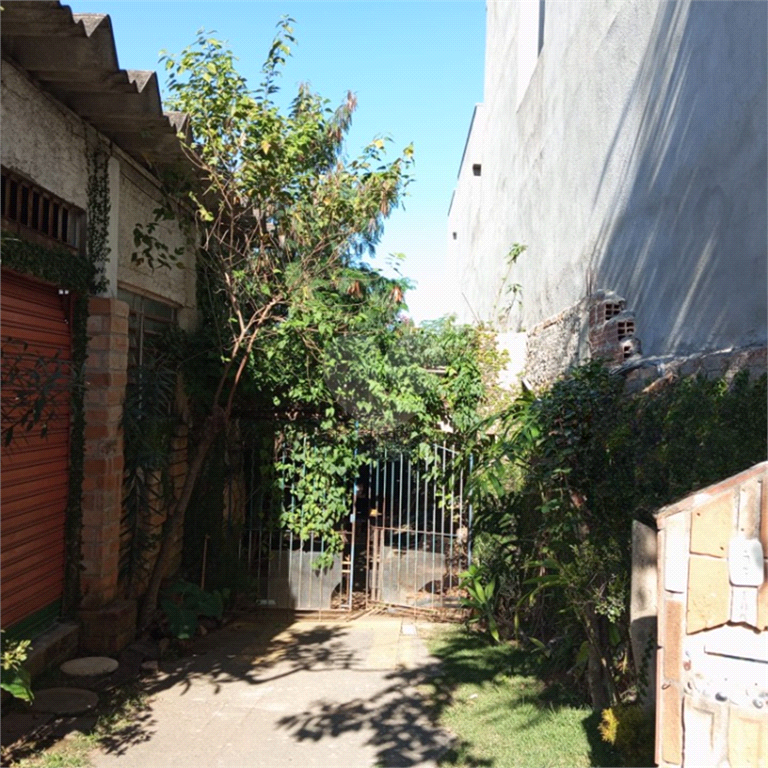 Venda Terreno São Paulo Vila Santa Terezinha (zona Norte) REO988569 12