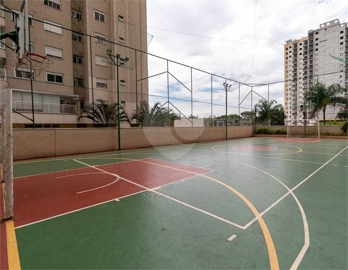 Foto REO989179