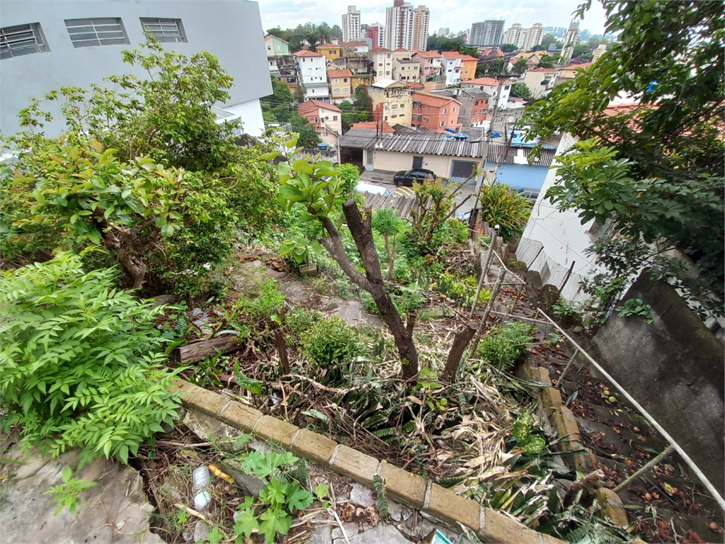 Venda Terreno São Paulo Jardim Bonfiglioli REO989191 15