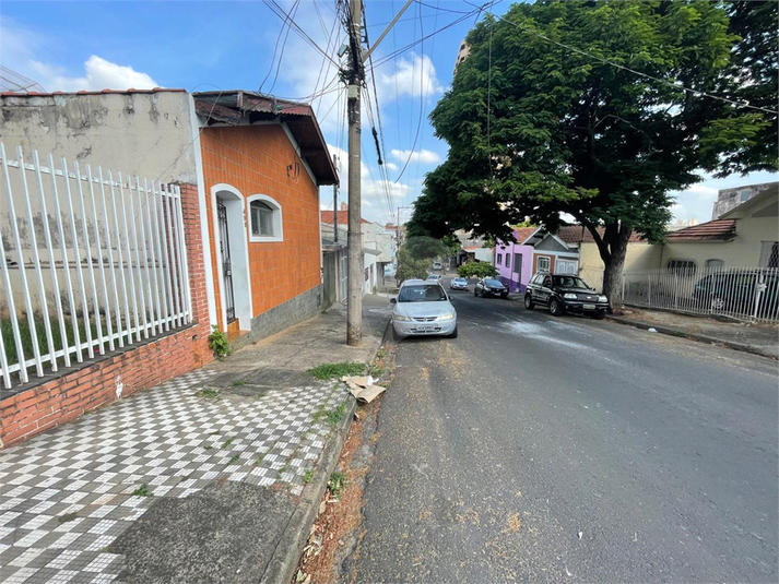 Foto REO989302
