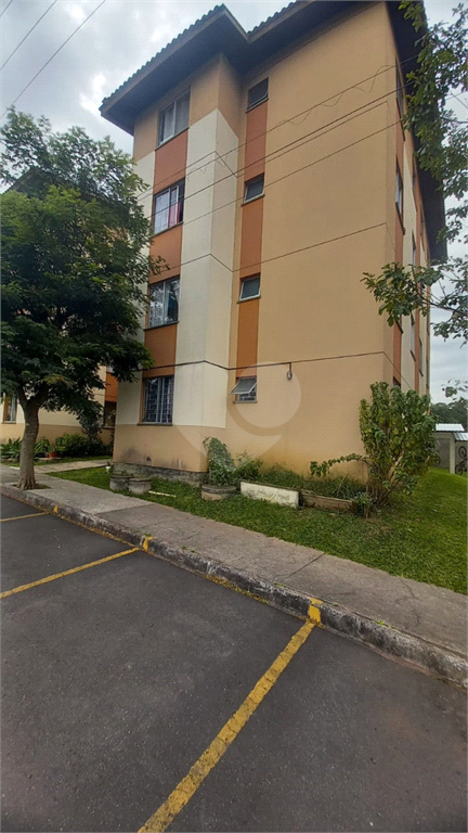 Venda Apartamento São José Dos Pinhais Colônia Rio Grande REO989328 1