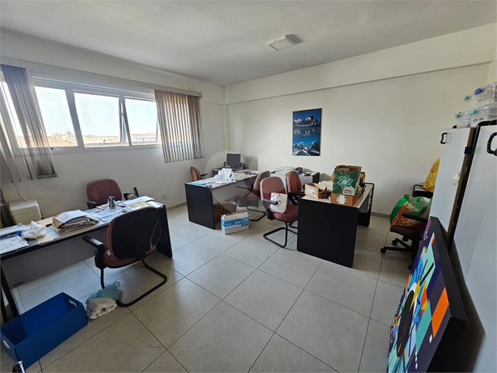 Foto REO989667
