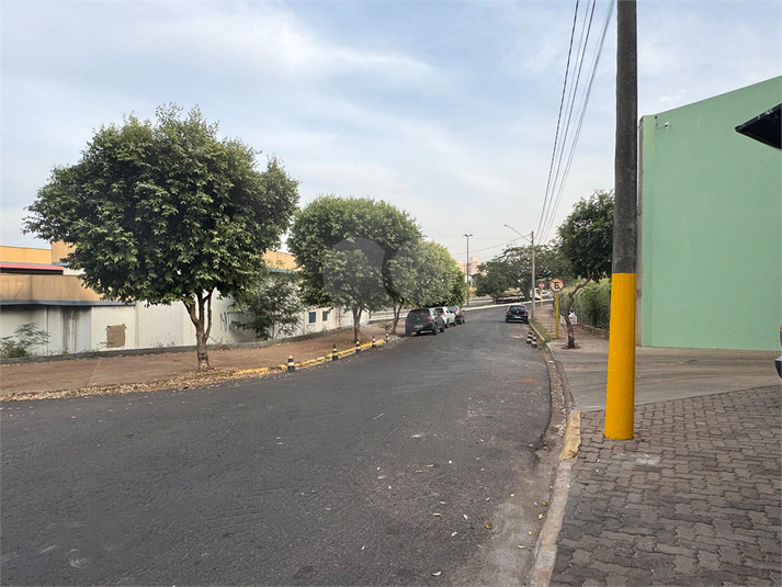Foto REO989730