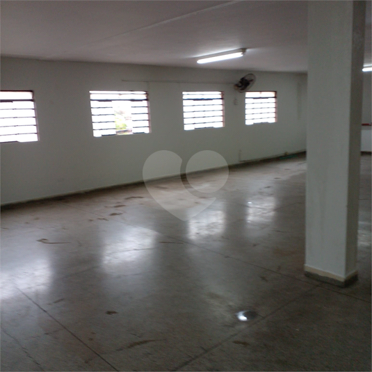 Foto REO990524