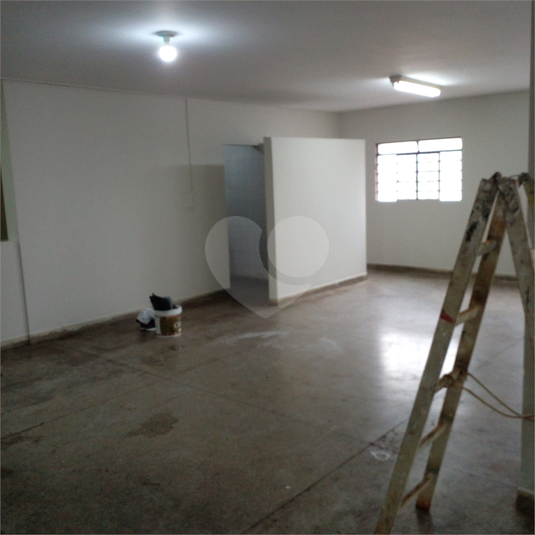 Foto REO990524